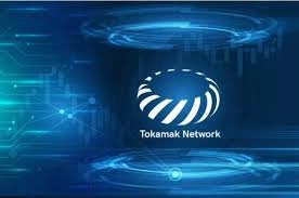 Tokamak Network