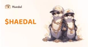 Haedal Protocol, HAEDAL, Stake SUI, Boost Your Rewards