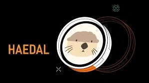 Haedal Protocol, HAEDAL, Stake SUI, Boost Your Rewards