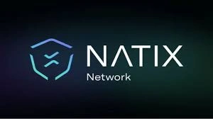 NATIX Network, NATIX, Real‑World DePIN Data Networks