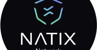 NATIX Network, NATIX, Real‑World DePIN Data Networks