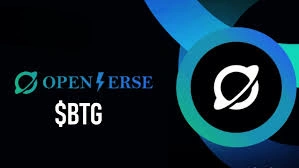 Openverse Network, BTG, Value Internet