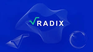 Radix, XRD, DeFi Infrastructure