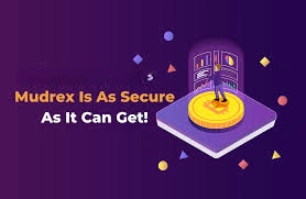 Is Mudrex Safe, Mudrex