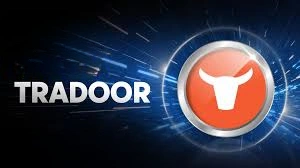 Tradoor, Trade Crypto, DEX Power