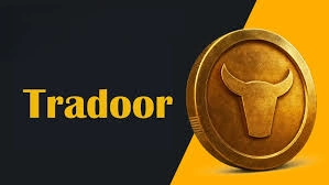 Tradoor, Trade Crypto, DEX Power