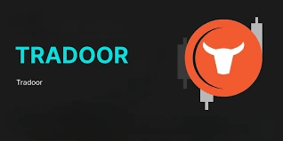 Tradoor, Trade Crypto, DEX Power