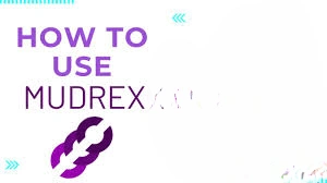 How to Use Mudrex, Mudrex