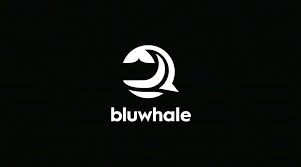 Bluwhale, BLUAI, Web3 Intelligence Layer
