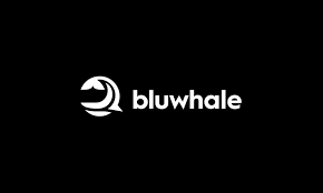 Bluwhale, BLUAI, Web3 Intelligence Layer