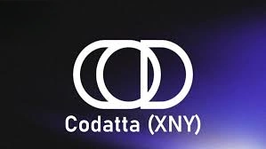 Codatta, XNY, Data as On-Chain Assets