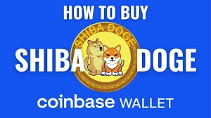 How to Buy ShibaDoge on Coinbase