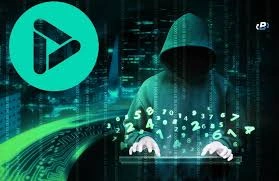 Is PlayDapp a Good Investment?, PlayDapp