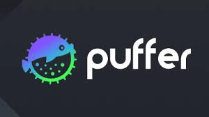 Puffer, PUFFER, Ethereum Liquid Restaking, Rollup Protocol