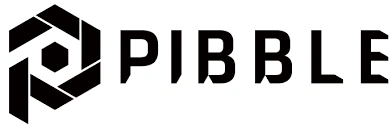 PIBBLE, PIB, AI, Blockchain Ecosystem, Token Utility