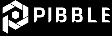 PIBBLE, PIB, AI, Blockchain Ecosystem, Token Utility