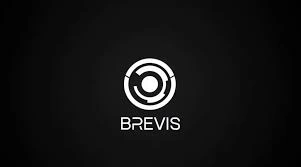 Brevis, BREV, Decentralized ZK Compute Token, Network Utility