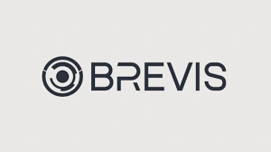 Brevis, BREV, Decentralized ZK Compute Token, Network Utility