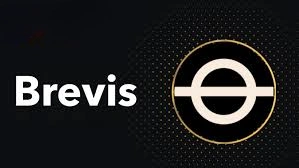 Brevis, BREV, Decentralized ZK Compute Token, Network Utility