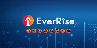 EverRise, RISE, Multi-Chain DeFi Token, Automated Buyback
