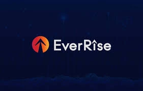 EverRise, RISE, Multi-Chain DeFi Token, Automated Buyback