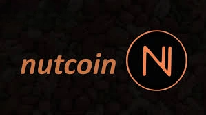 Nutcoin, NUT, The Meme Crypto with Locked Supply & Community, Meme Crypto