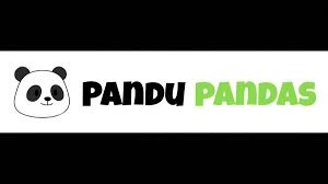Pandu Pandas, PANDU, Solana AI Companion, NFT Ecosystem
