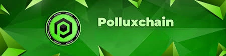 Pollux Coin, (POX), Hybrid Layer‑1 Blockchain, Staking, DApps