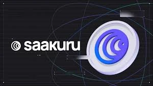 Saakuru Protocol, SKR, Gas-Free Blockchain, Token Utility