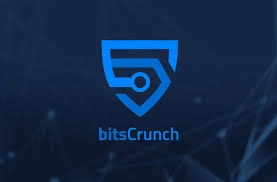 bitsCrunch, BCUT, AI-Driven Blockchain Analytics, Token Utility