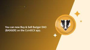 How to Buy Badger DAO, Badger DAO