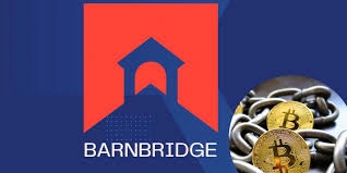 How to Buy BarnBridge Crypto, BarnBridge Crypto, BarnBridge