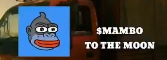 MAMBO, Meme Culture Meets Crypto