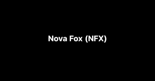 Nova Fox, NFX, Multichain Launchpad, Web3 Ecosystem