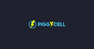 Piggycell, PIGGY, Real‑World DePIN Energy Meets Blockchain, Real‑World DePIN