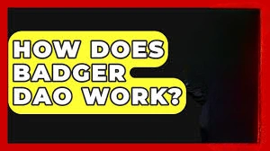 How Does Badger DAO Work, Badger DAO