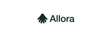 Allora, ALLO, Decentralized AI Network Intelligence Token