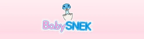 BabySNEK, BBSNEK, Cardano Meme Coin and Community