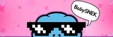 BabySNEK, BBSNEK, Cardano Meme Coin and Community