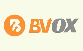BVOX, Crypto Exchange with Copy Trading & Derivatives, Copy Trading, Derivatives