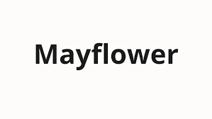 Mayflower AI, MAY, Solana AI‑Powered DeFi Navigator