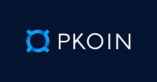 Pkoin, Bastyon’s Deflationary Crypto & Utility Token, Deflationary Crypto
