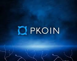 Pkoin, Bastyon’s Deflationary Crypto & Utility Token, Deflationary Crypto