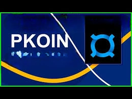Pkoin, Bastyon’s Deflationary Crypto & Utility Token, Deflationary Crypto