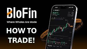 How to Trade on BloFin, BloFin