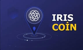 What Is IRISnet Coin, IRISnet Coin, IRISnet