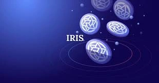 Where to Buy IRISnet, IRISnet