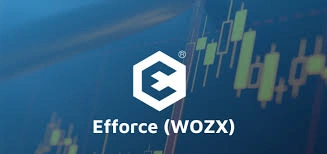 Efforce, (WOZX): Blockchain Energy Efficiency Platform, Blockchain Energy