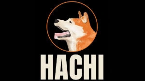 Hachiko, HACHI, The Loyalty-Inspired Meme Coin