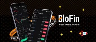 How to Convert USDC to USDT on BloFin, BloFin